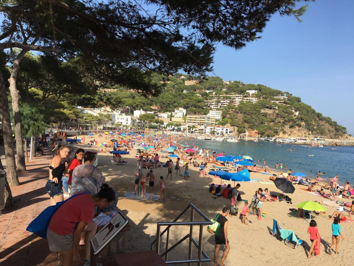 Greenchalets Costa Brava Palamós Eksteriør bilde